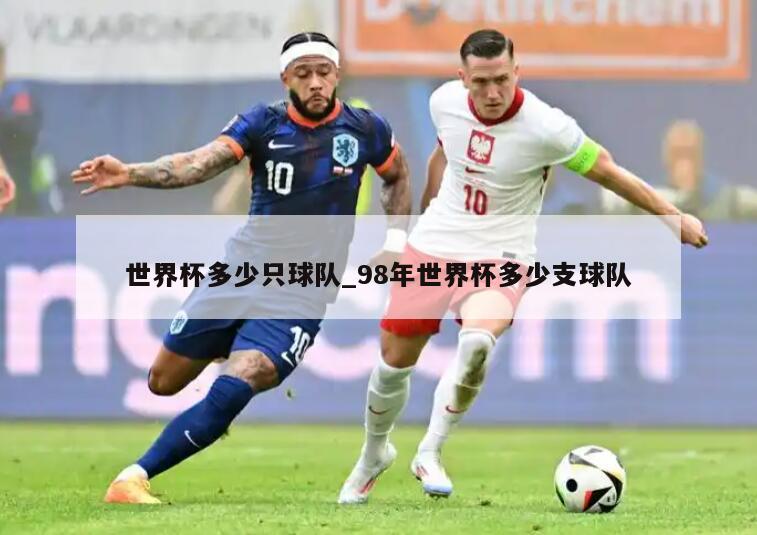 世界杯多少只球队_98年世界杯多少支球队