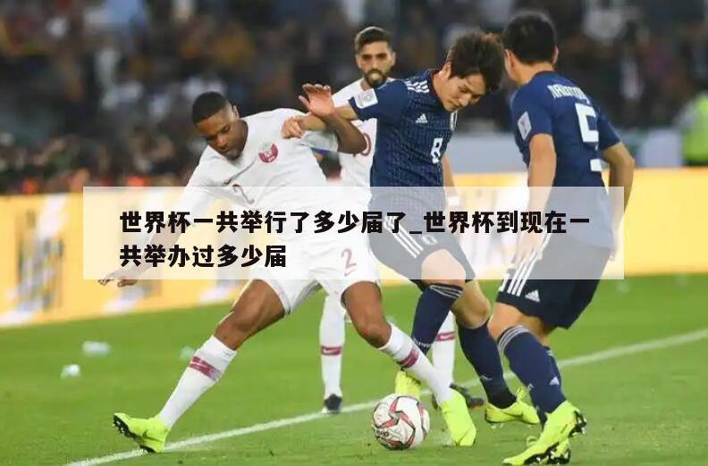 世界杯一共举行了多少届了_世界杯到现在一共举办过多少届