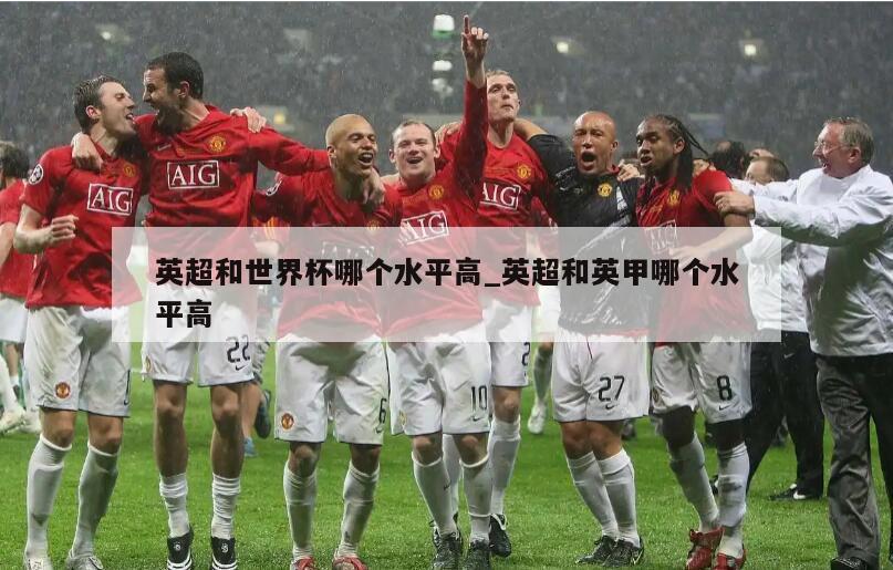 英超和世界杯哪个水平高_英超和英甲哪个水平高