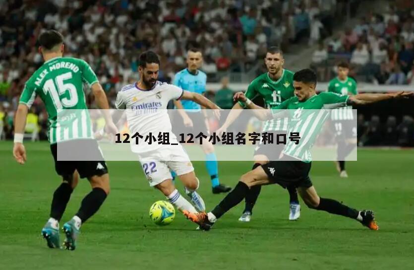 12个小组_12个小组名字和口号