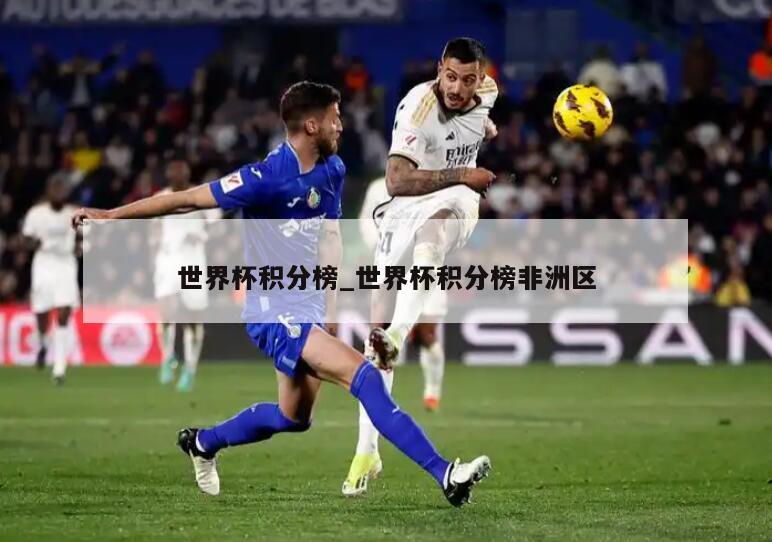 世界杯积分榜_世界杯积分榜非洲区