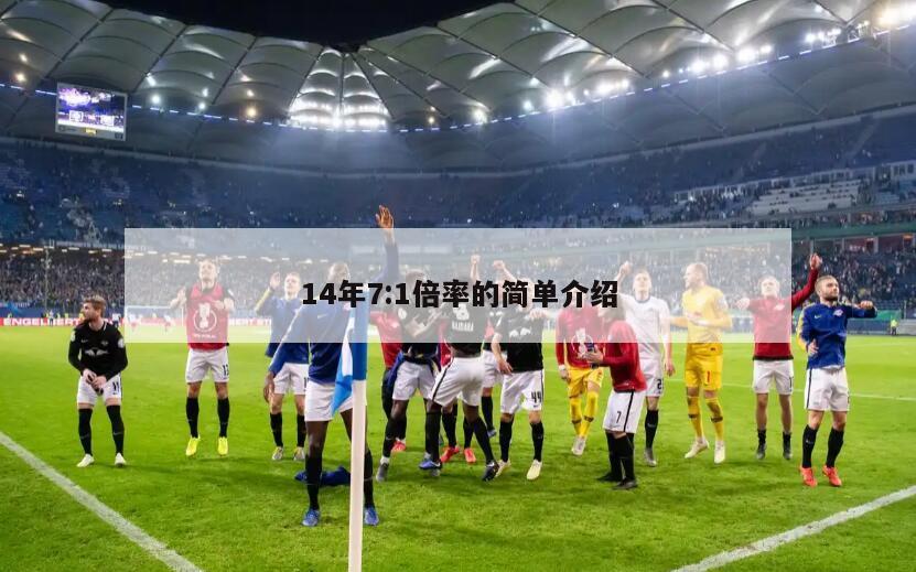 14年7:1倍率的简单介绍