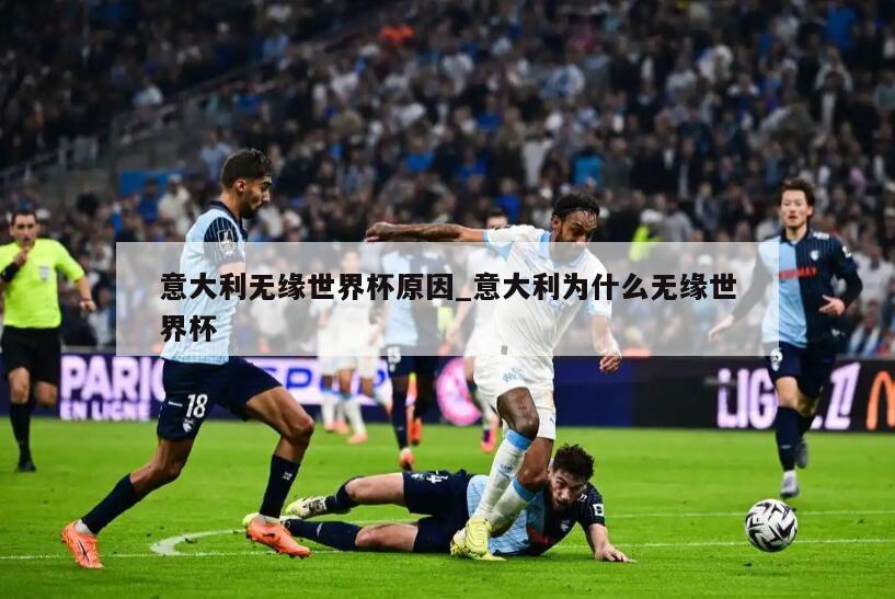 意大利无缘世界杯原因_意大利为什么无缘世界杯