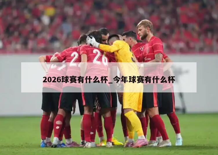 2026球赛有什么杯_今年球赛有什么杯