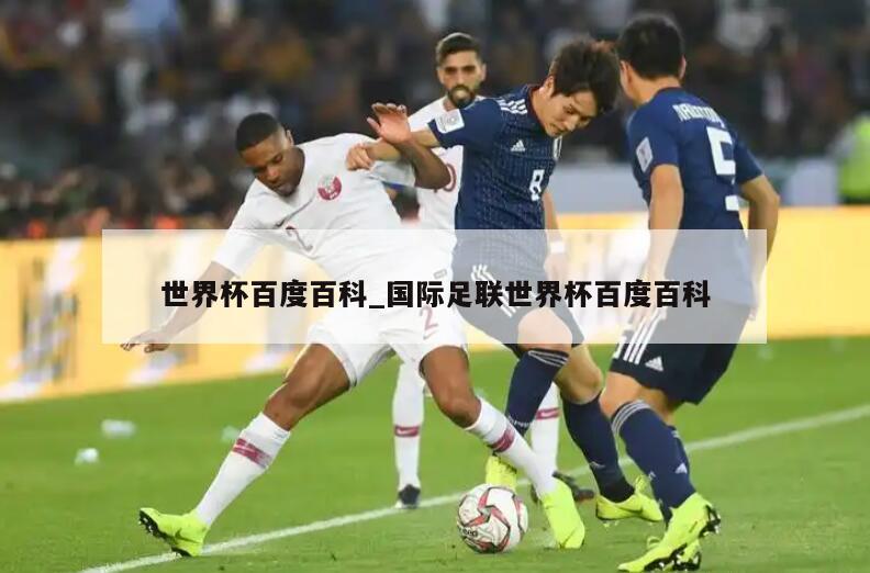 世界杯百度百科_国际足联世界杯百度百科