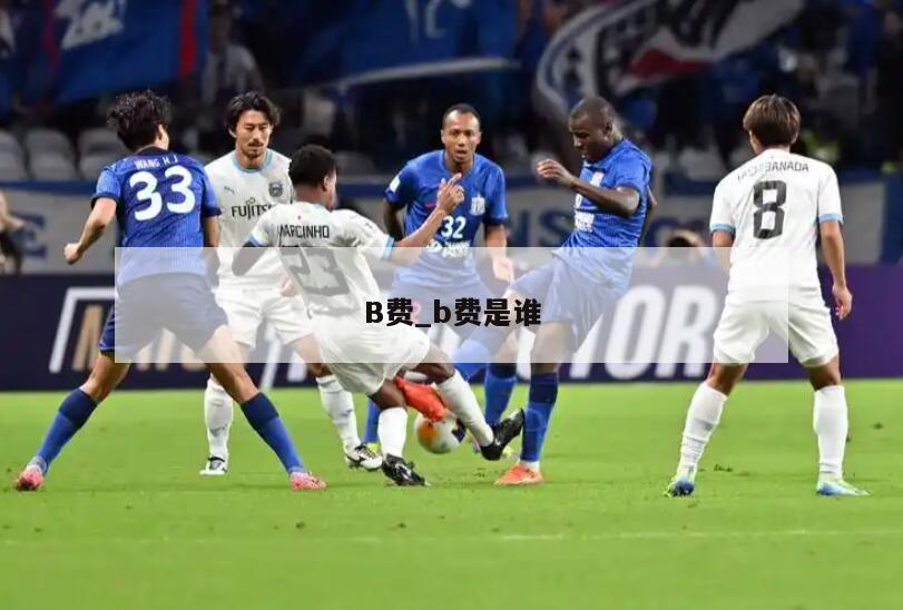 B费_b费是谁