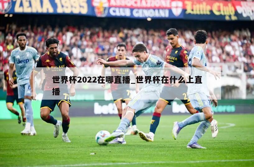 世界杯2022在哪直播_世界杯在什么上直播