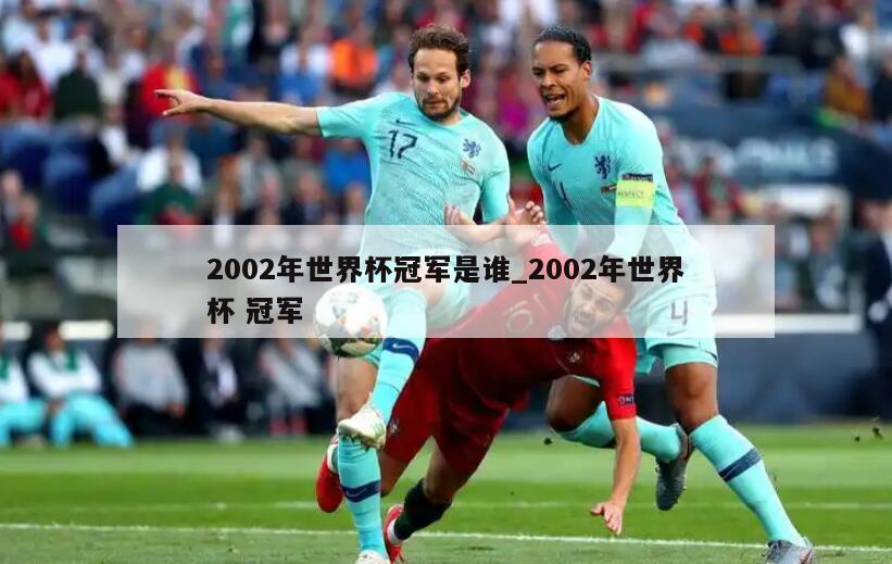 2002年世界杯冠军是谁_2002年世界杯 冠军