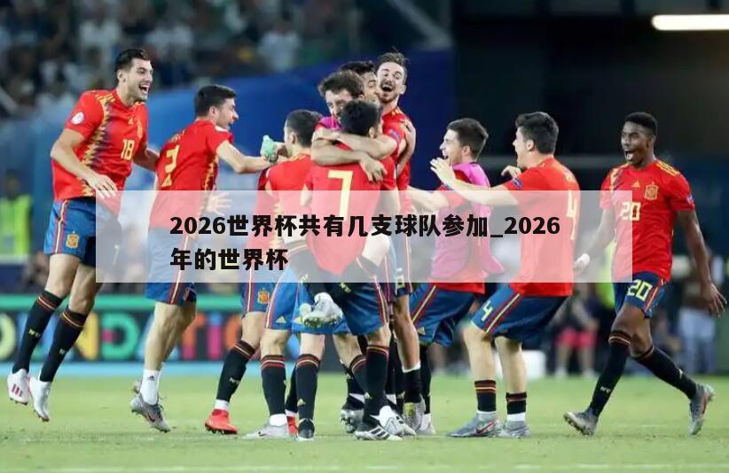 2026世界杯共有几支球队参加_2026年的世界杯
