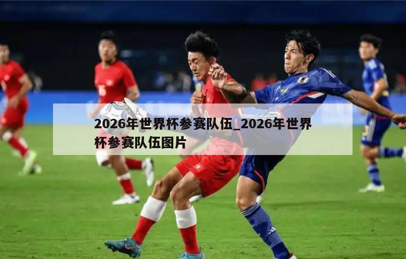 2026年世界杯参赛队伍_2026年世界杯参赛队伍图片