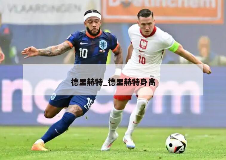 德里赫特_德里赫特身高