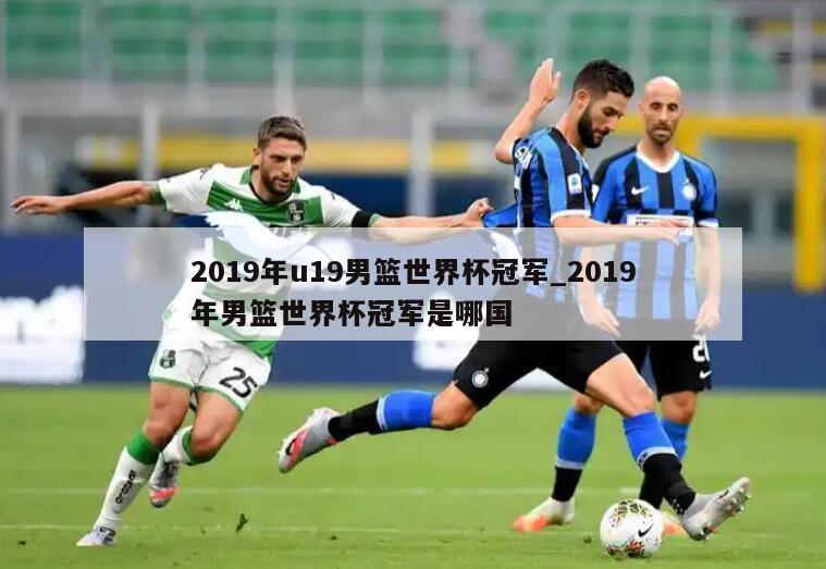 2019年u19男篮世界杯冠军_2019年男篮世界杯冠军是哪国